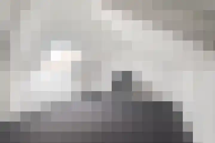 Tureluur 30 Genemuiden thumbnail 28