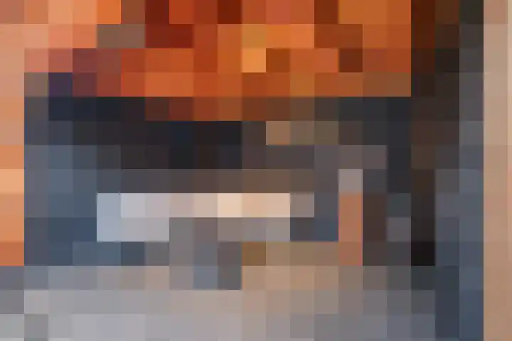 Tureluur 30 Genemuiden thumbnail 33