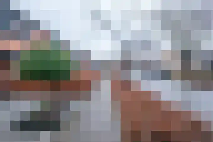 Tureluur 30 Genemuiden thumbnail 36