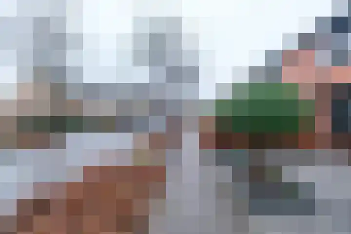 Tureluur 30 Genemuiden thumbnail 37