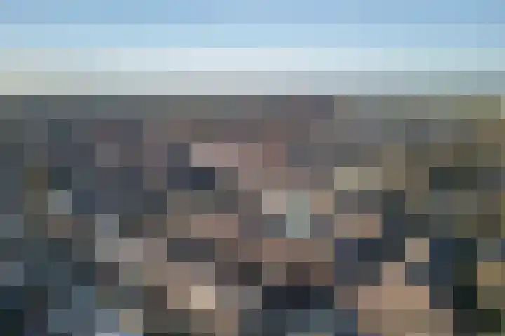 Tureluur 30 Genemuiden thumbnail 39