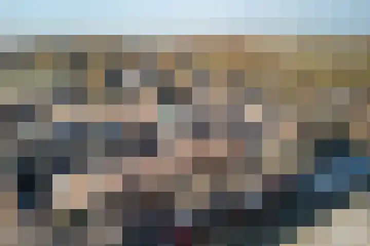 Tureluur 30 Genemuiden thumbnail 40