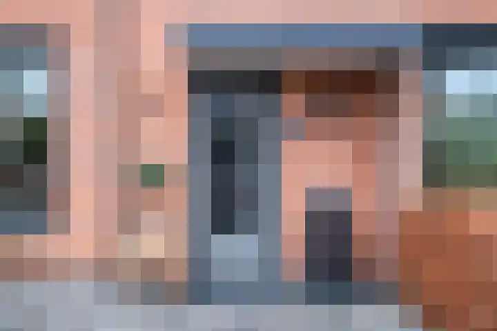 Tureluur 30 Genemuiden thumbnail 5