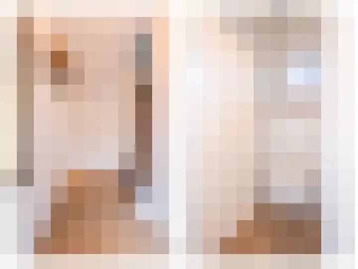 Tureluur 30 Genemuiden thumbnail 8