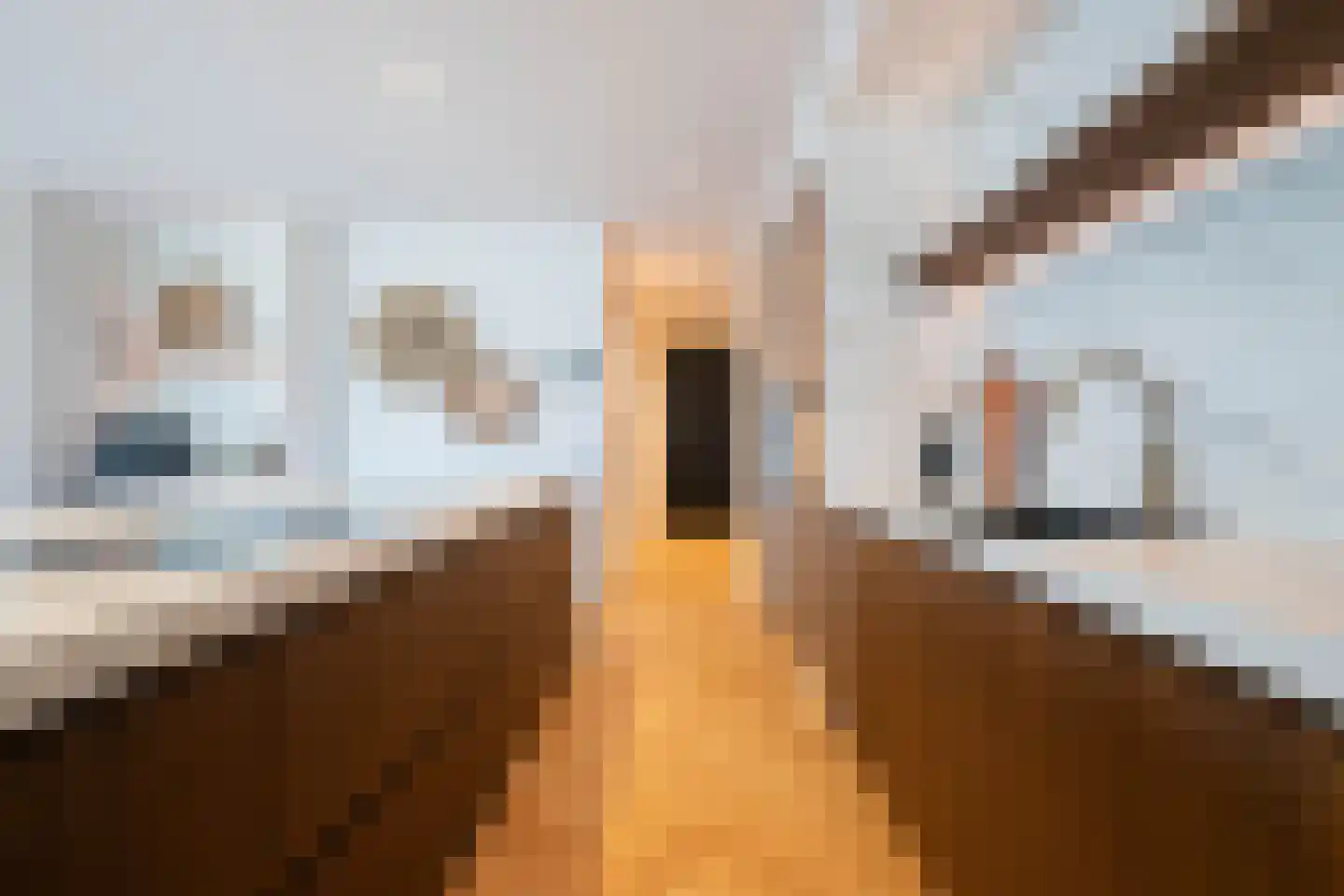 Tureluur 30 Venray thumbnail 10