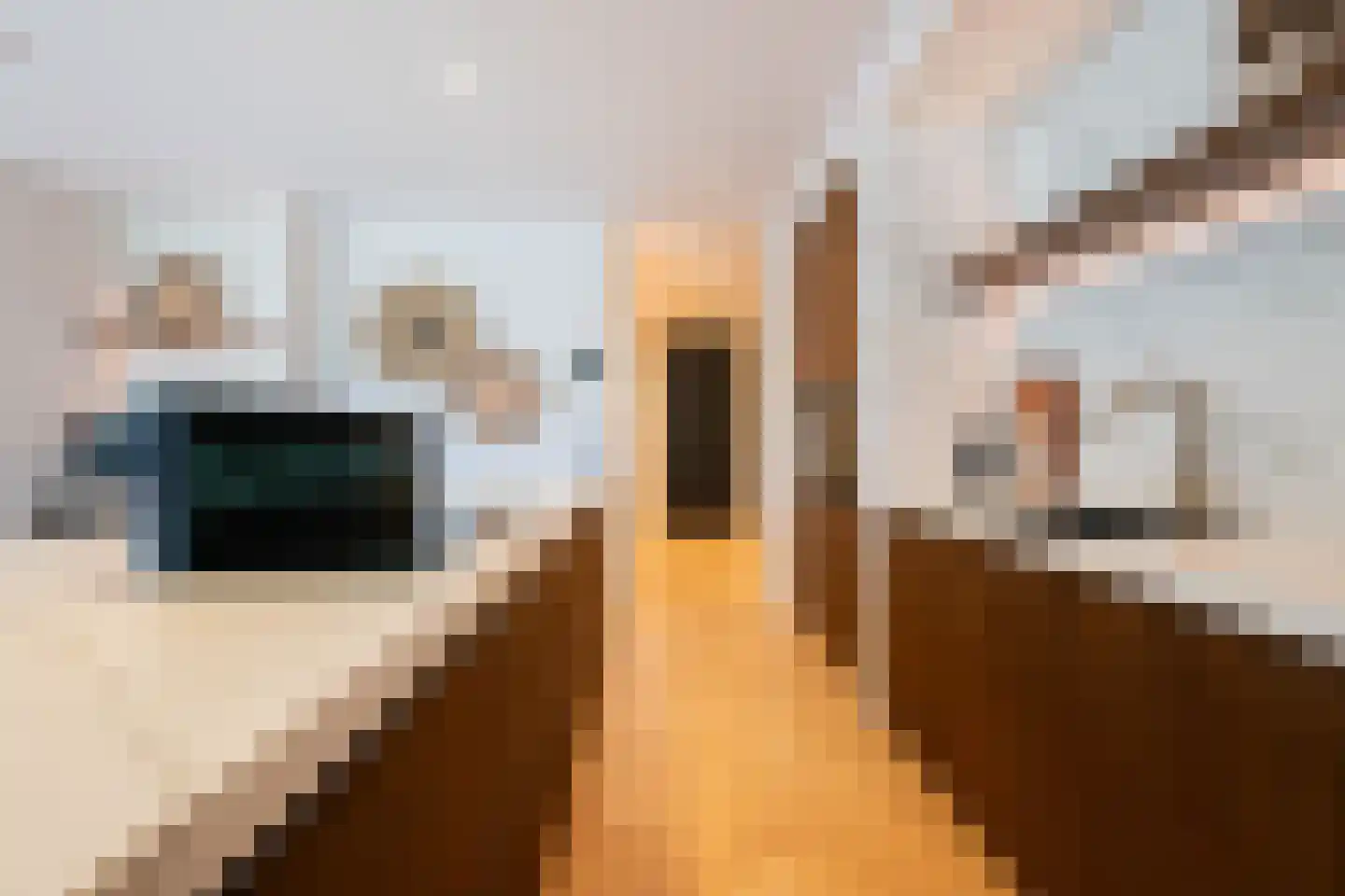 Tureluur 30 Venray thumbnail 11