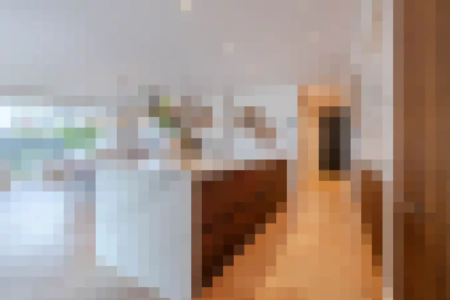 Tureluur 30 Venray thumbnail 13
