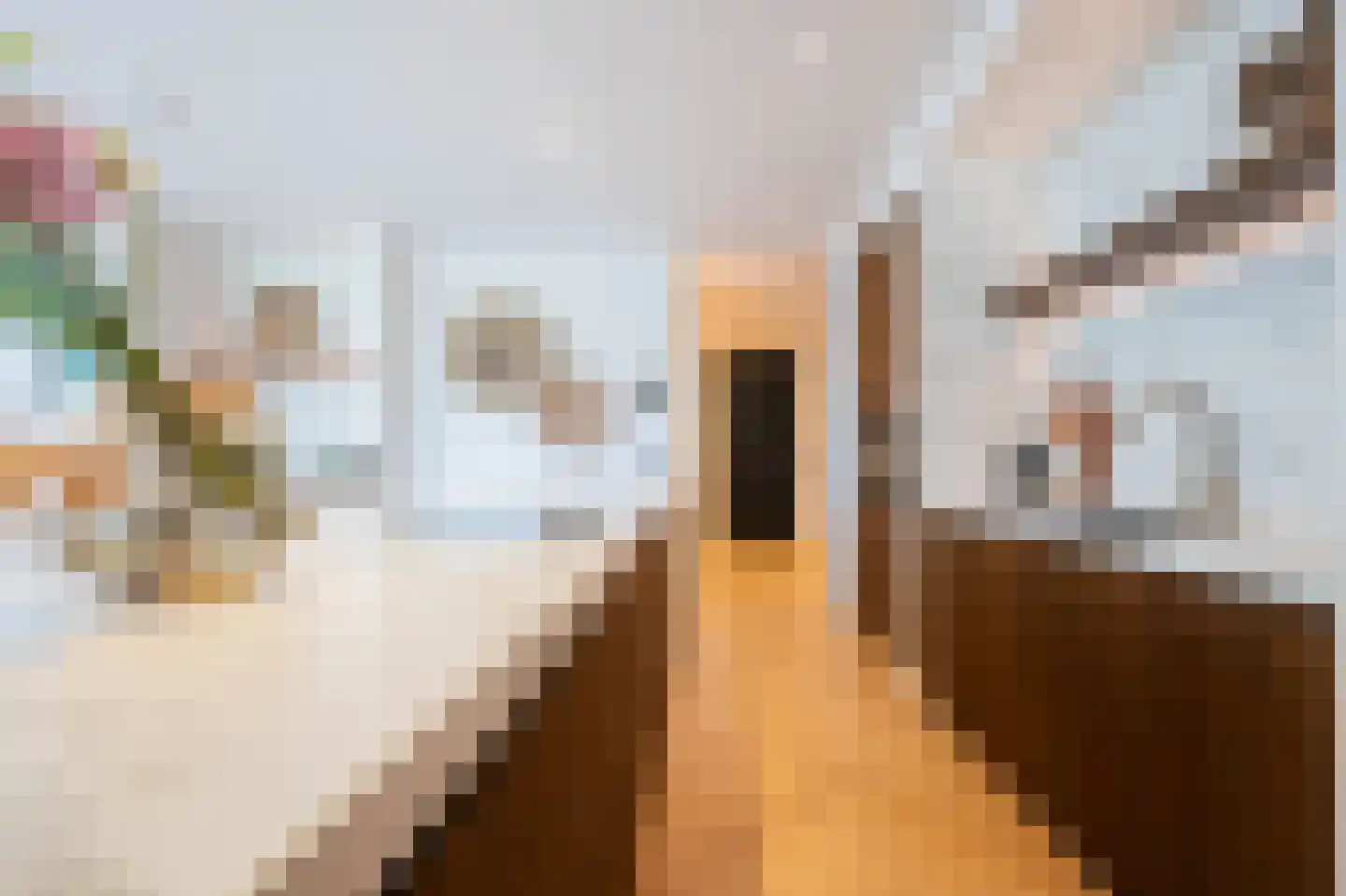 Tureluur 30 Venray thumbnail 14