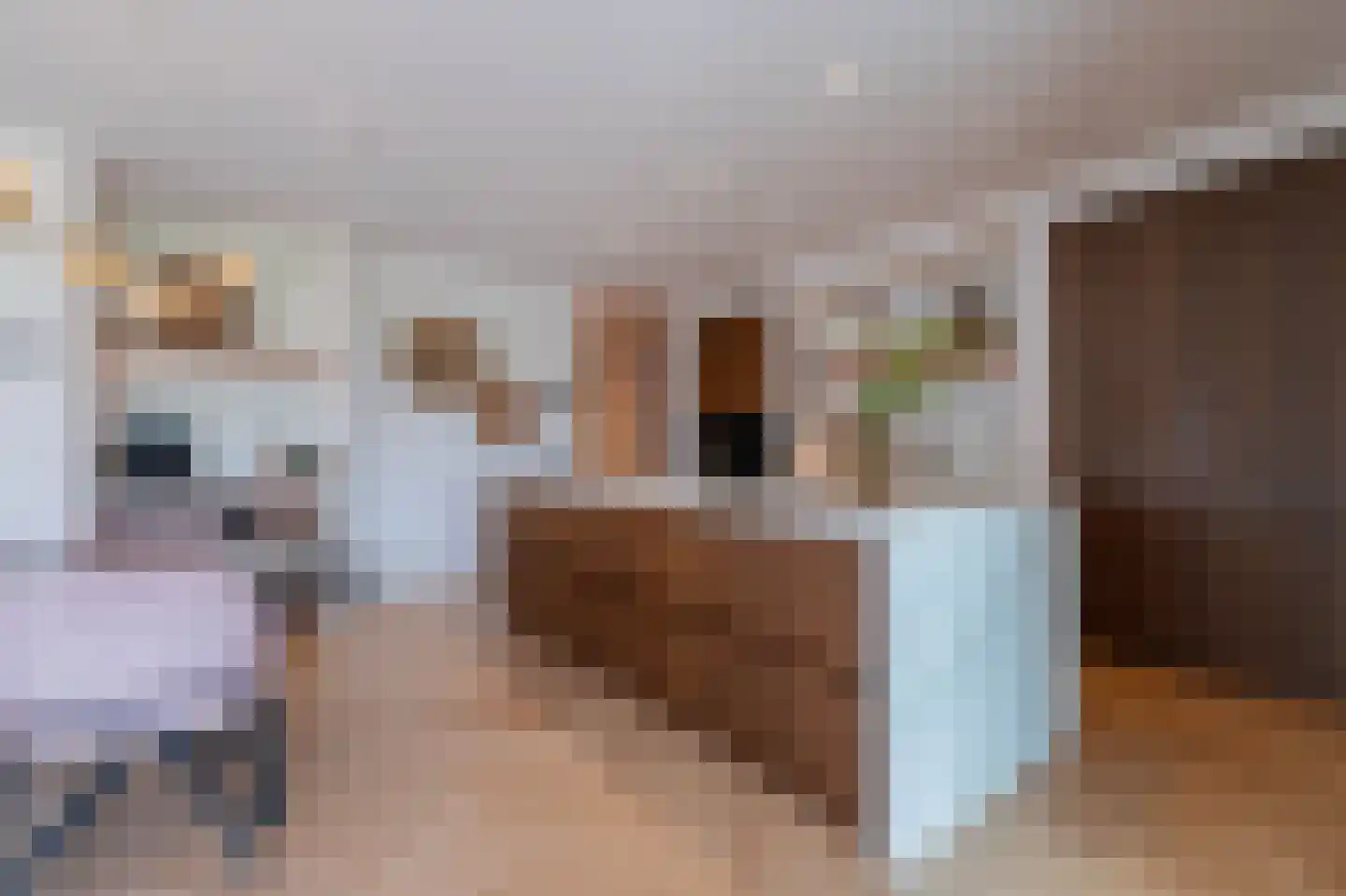 Tureluur 30 Venray thumbnail 16
