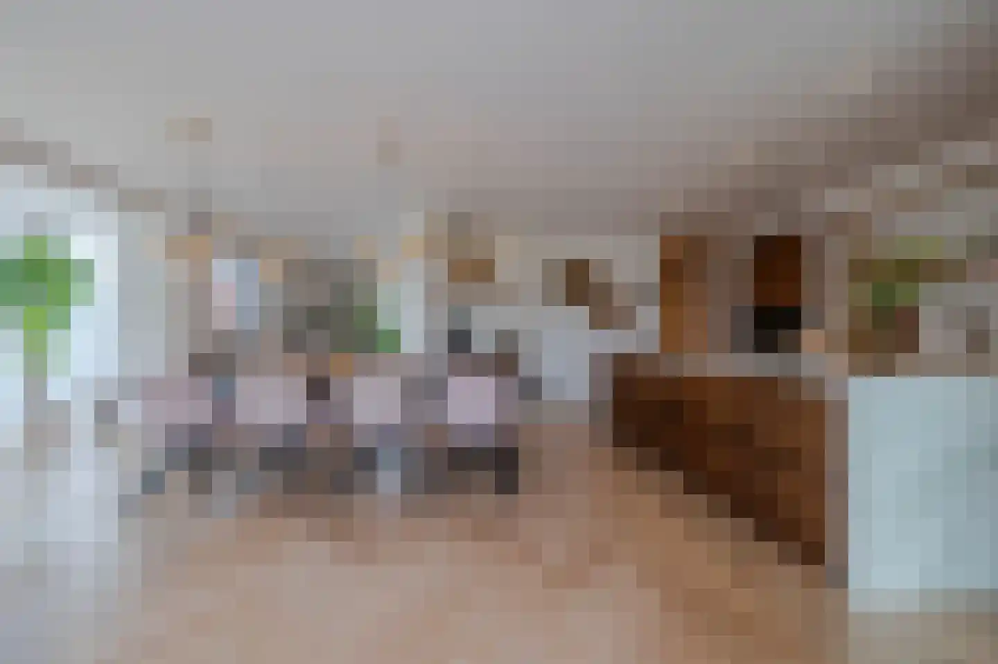 Tureluur 30 Venray thumbnail 17