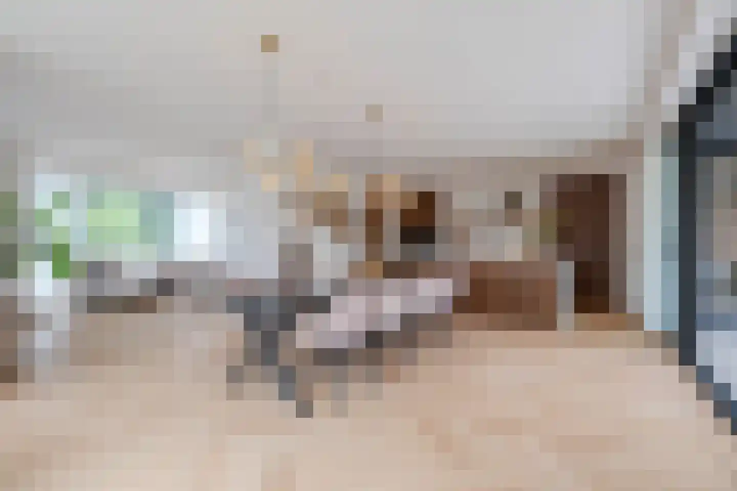 Tureluur 30 Venray thumbnail 19