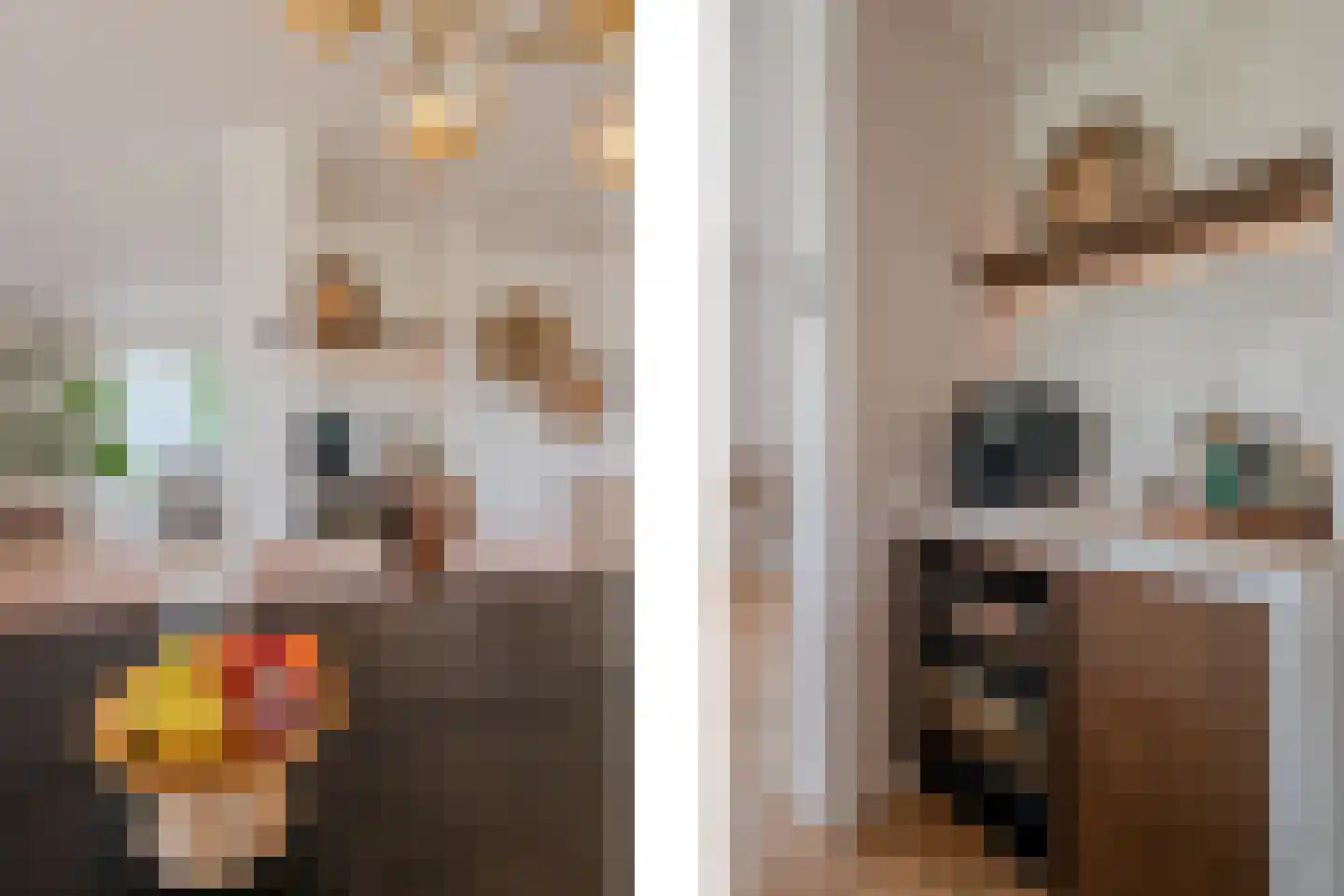 Tureluur 30 Venray thumbnail 20