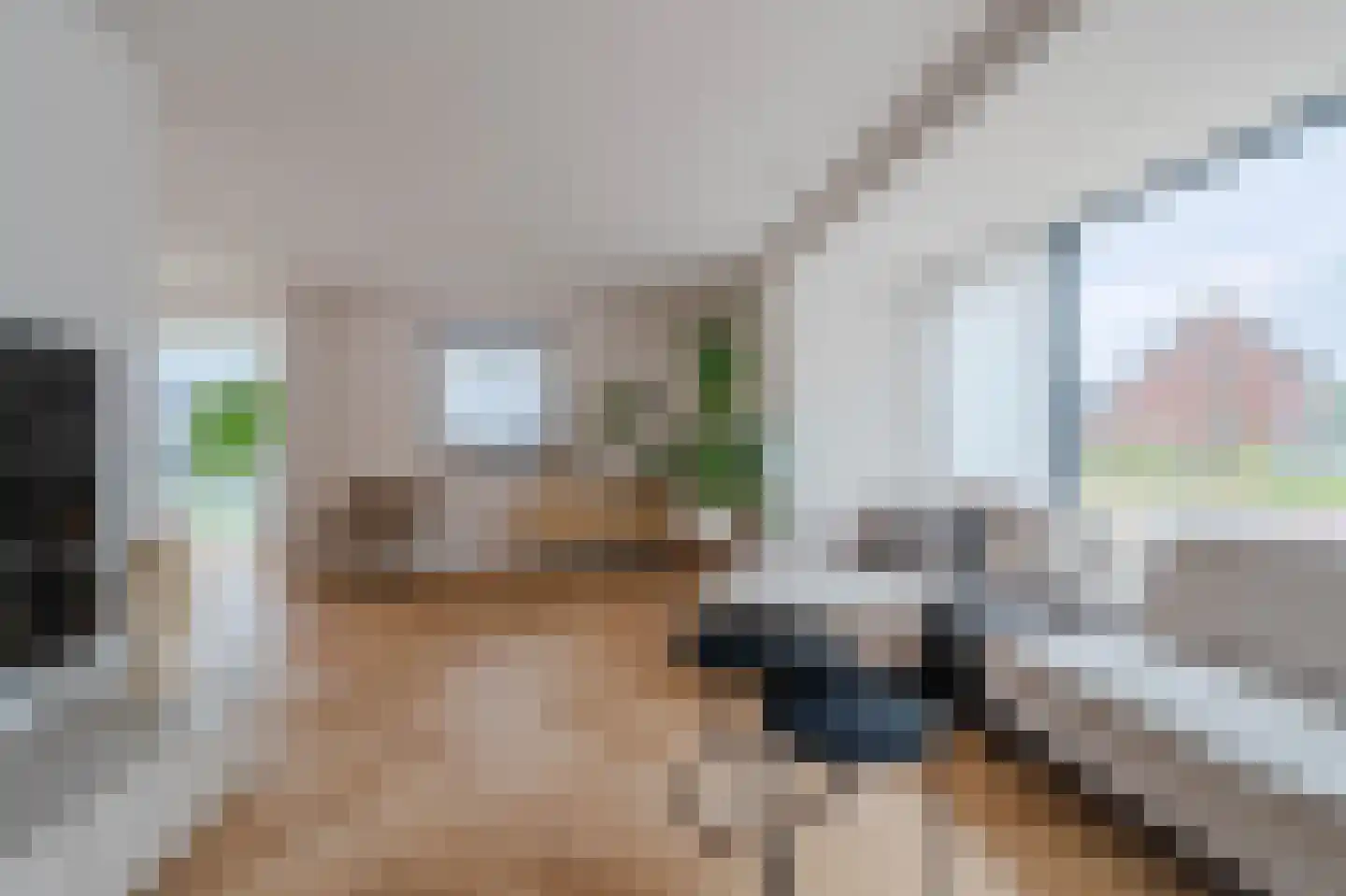 Tureluur 30 Venray thumbnail 27