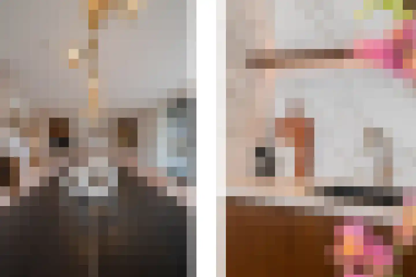 Tureluur 30 Venray thumbnail 31