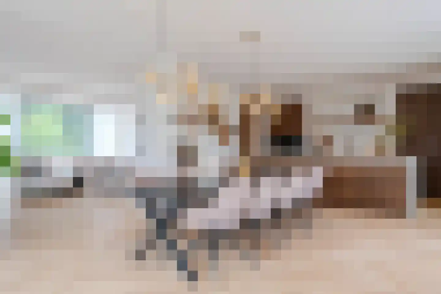 Tureluur 30 Venray thumbnail 33