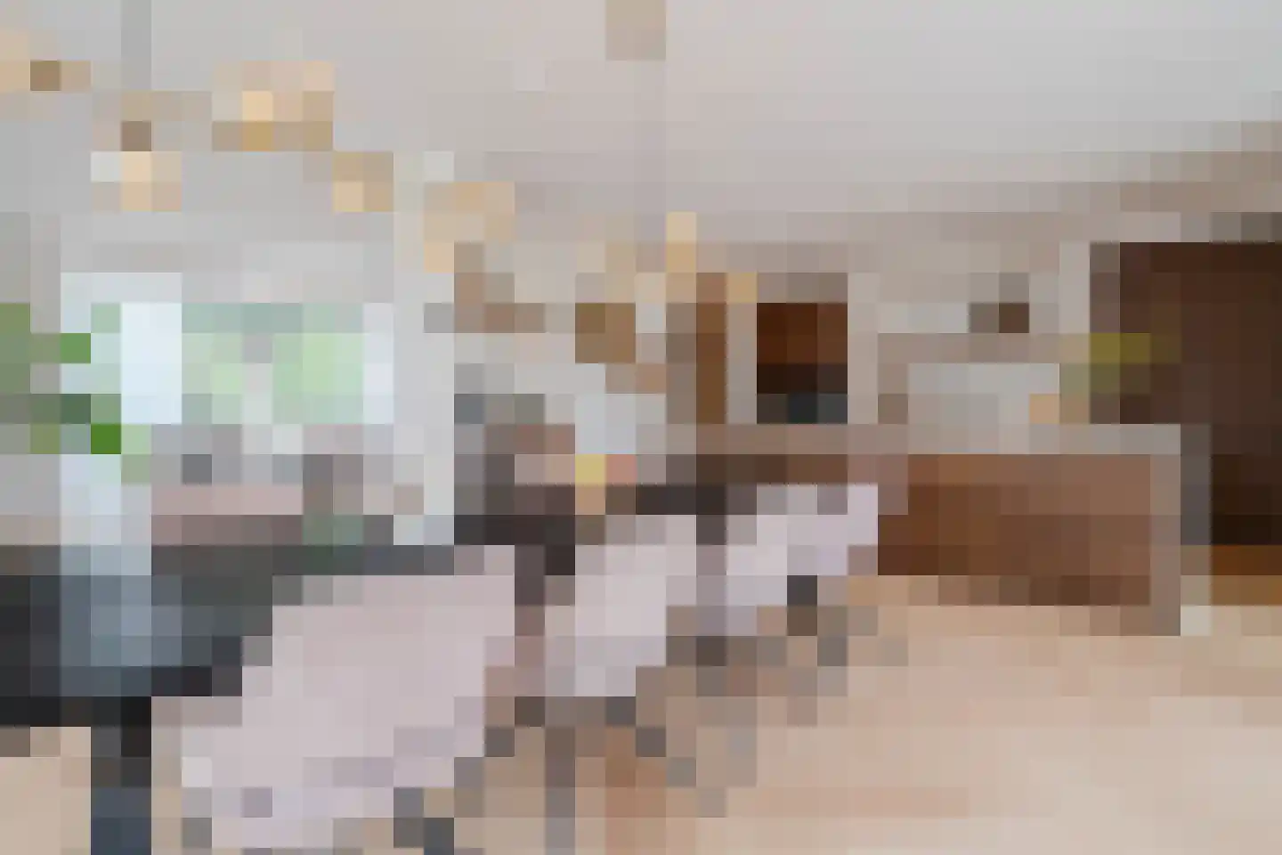 Tureluur 30 Venray thumbnail 34
