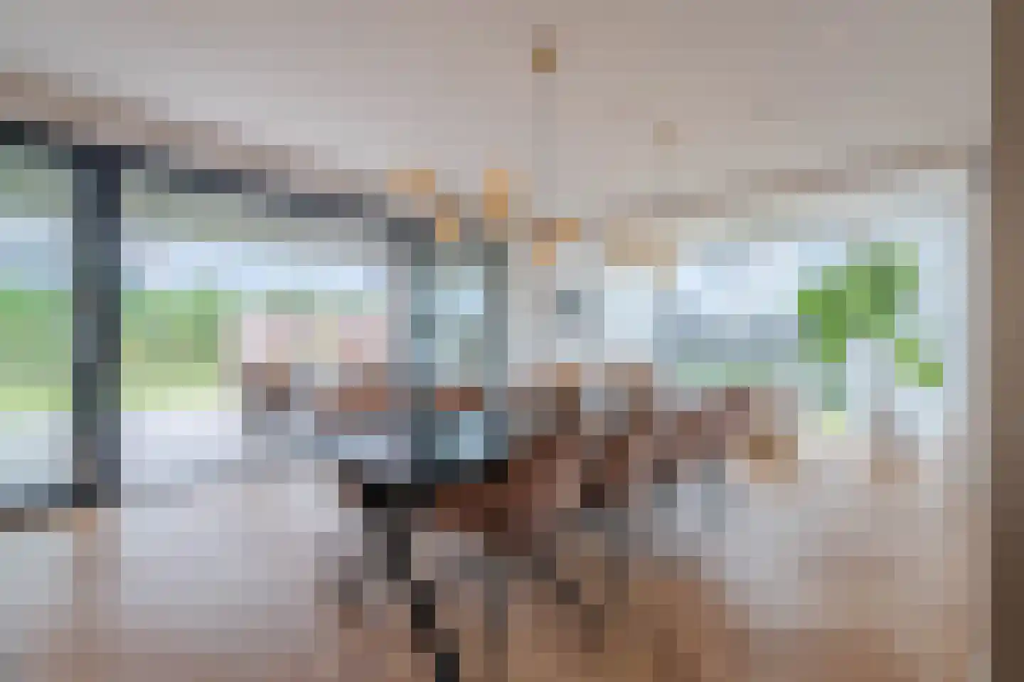 Tureluur 30 Venray thumbnail 35