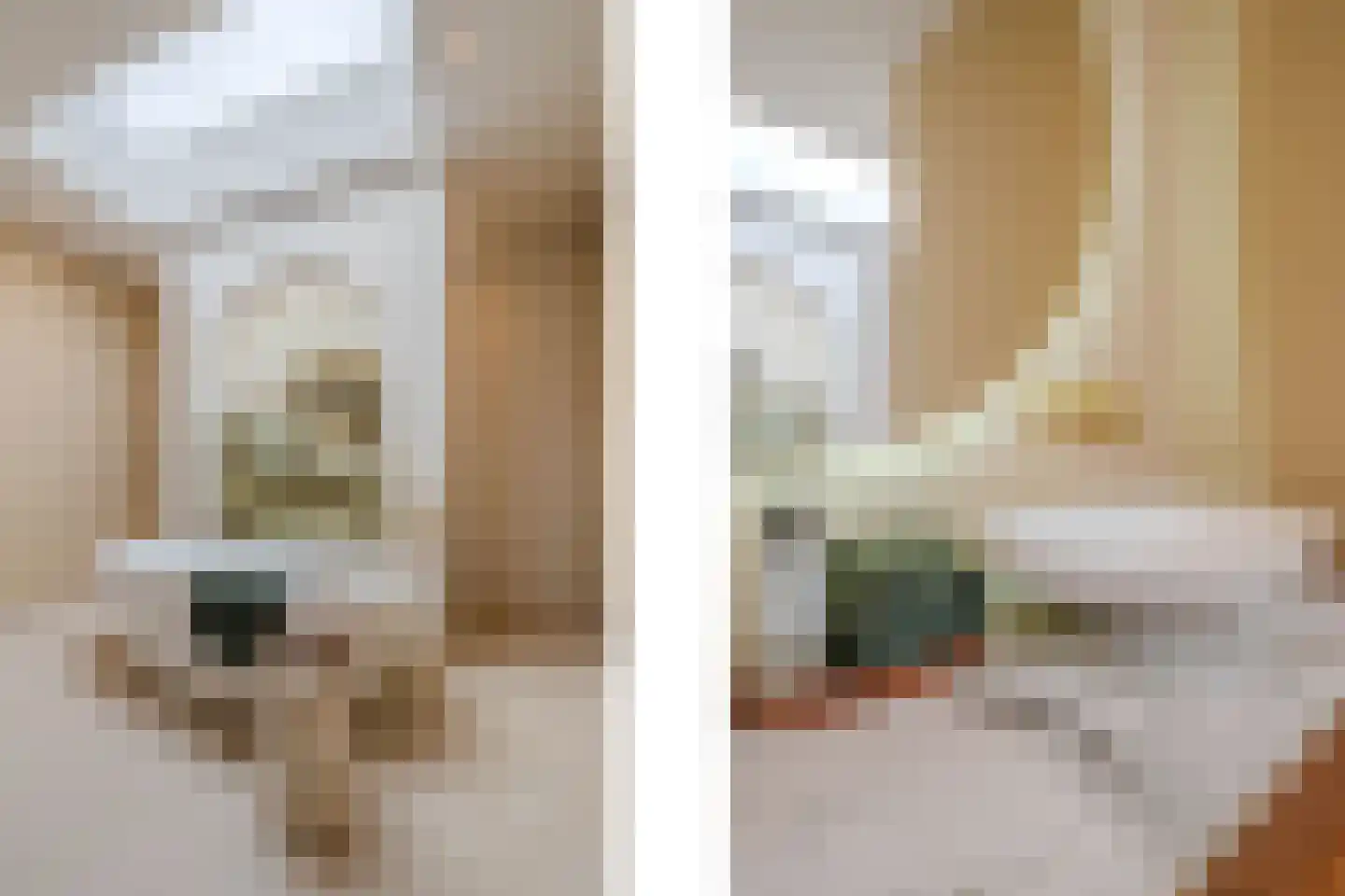 Tureluur 30 Venray thumbnail 46
