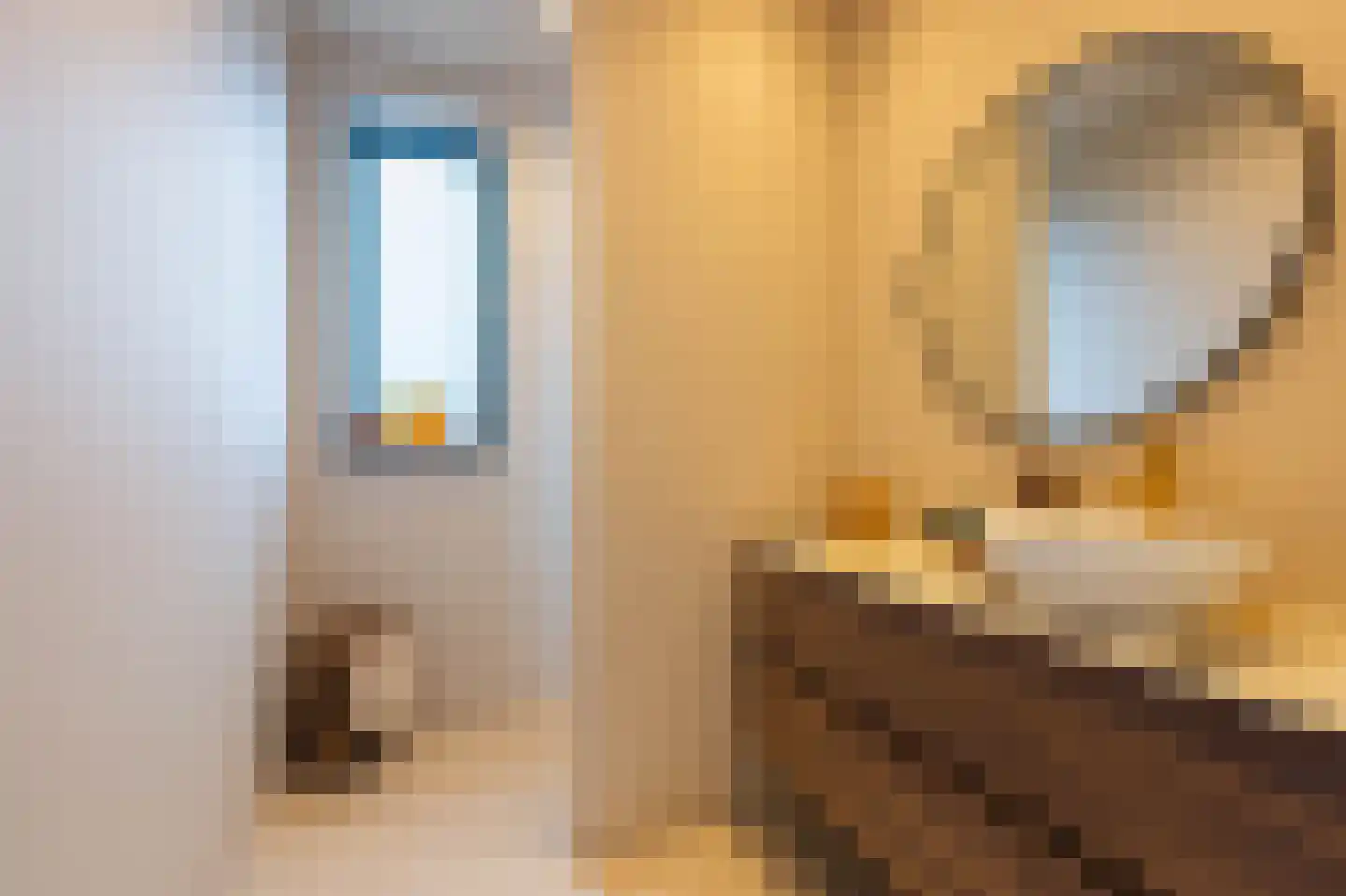Tureluur 30 Venray thumbnail 55