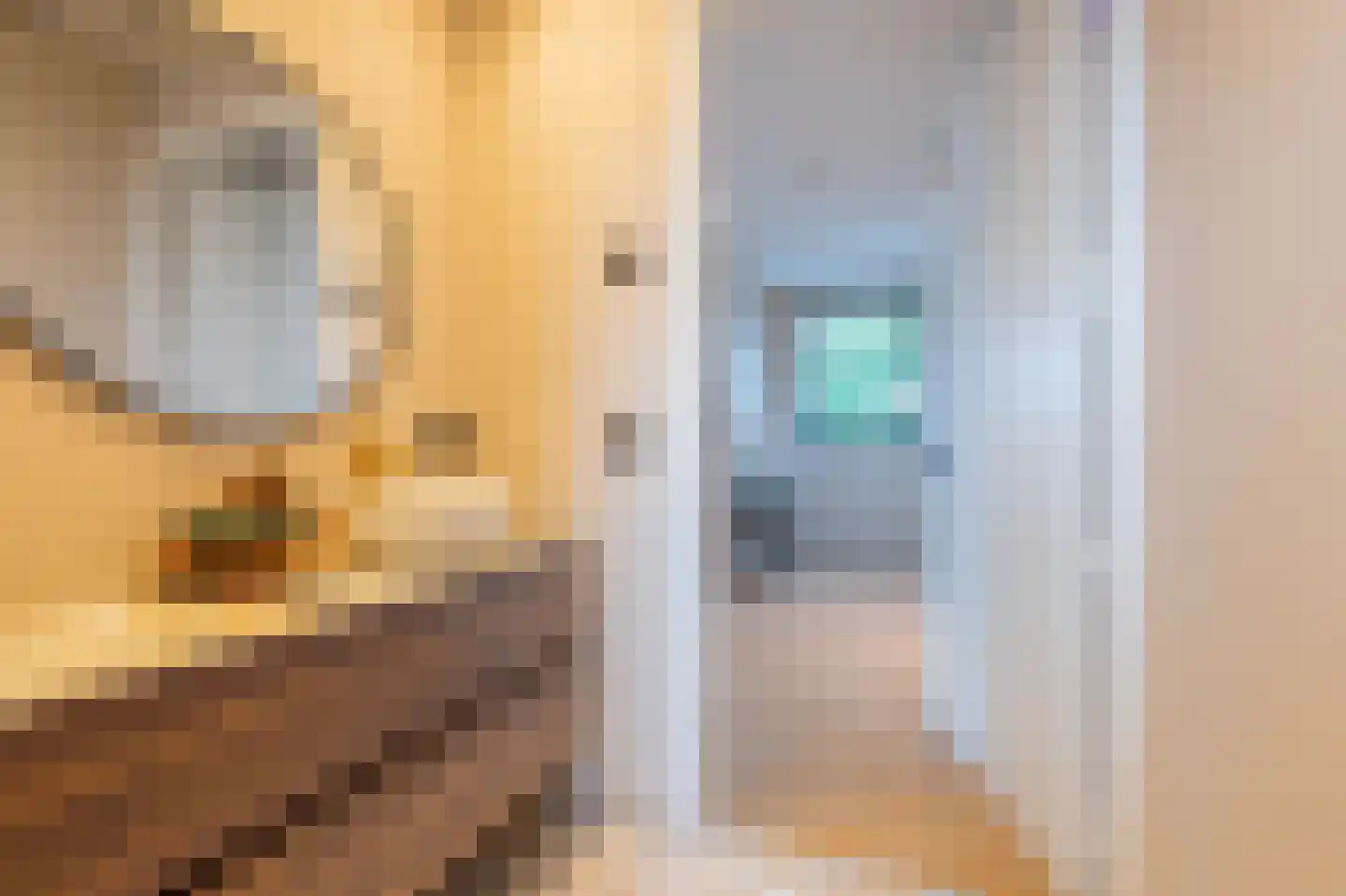 Tureluur 30 Venray thumbnail 56