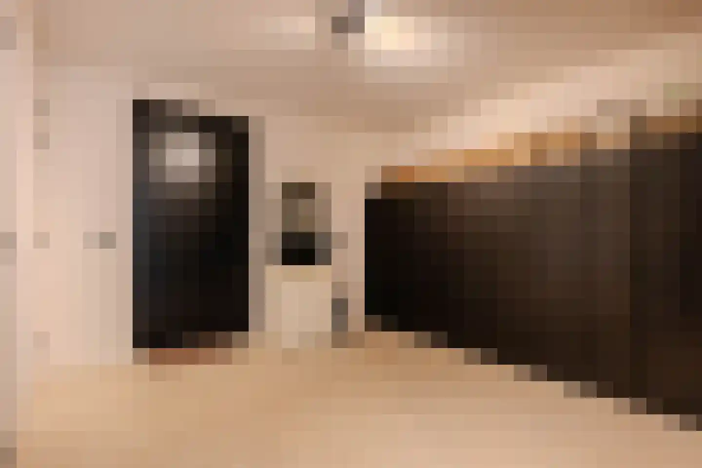 Tureluur 30 Venray thumbnail 59