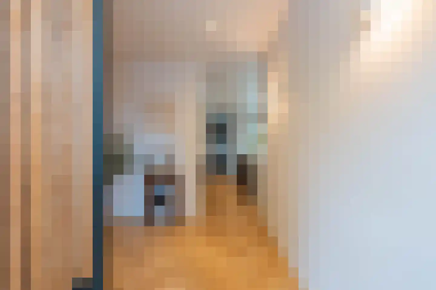 Tureluur 30 Venray thumbnail 6