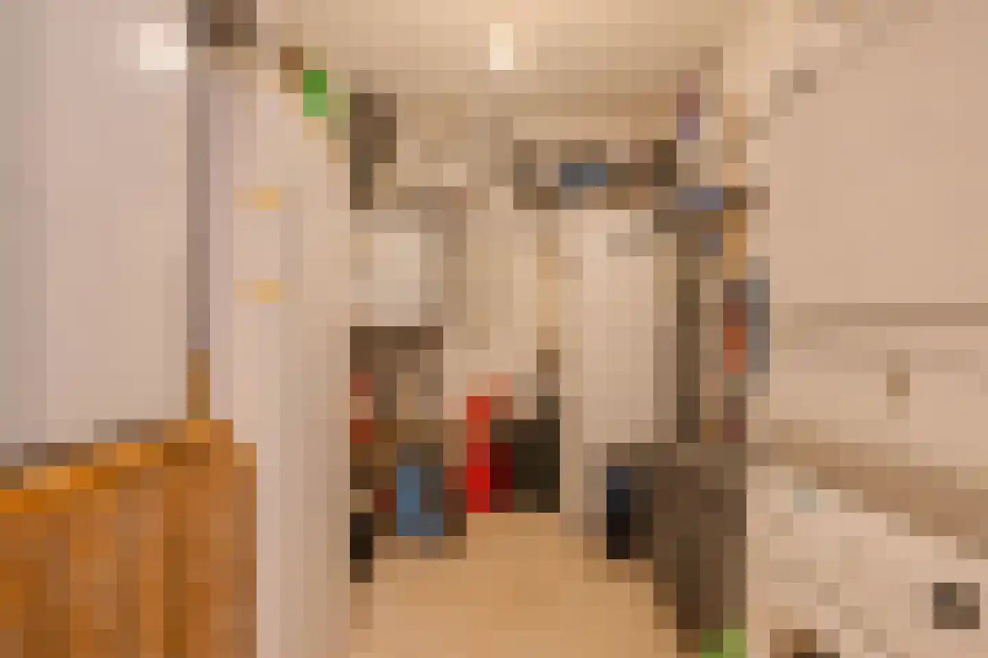 Tureluur 30 Venray thumbnail 61