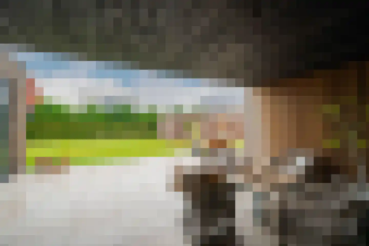 Tureluur 30 Venray thumbnail 62
