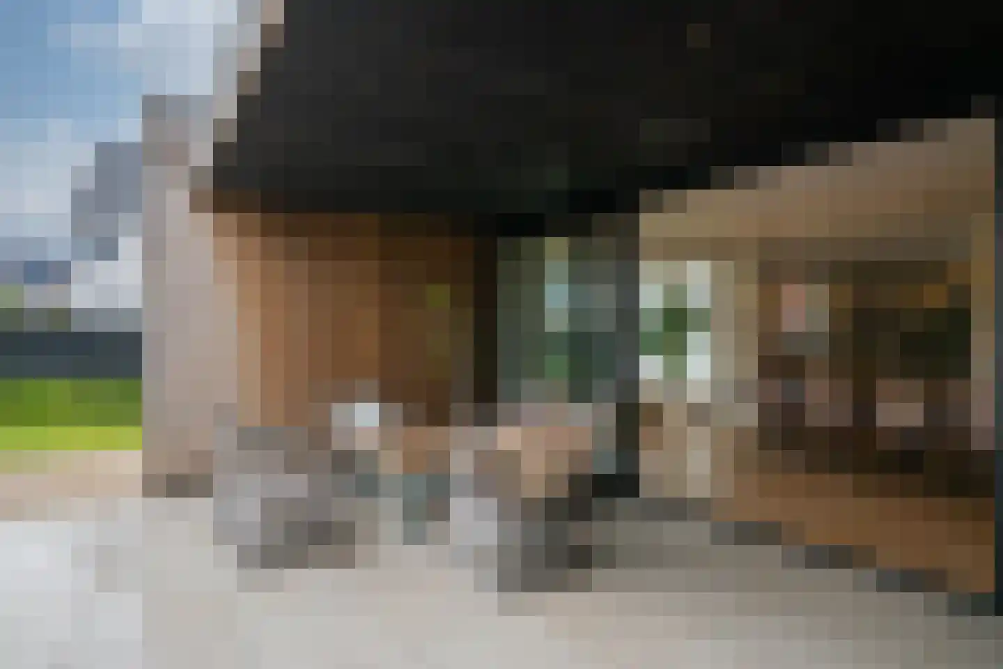 Tureluur 30 Venray thumbnail 64