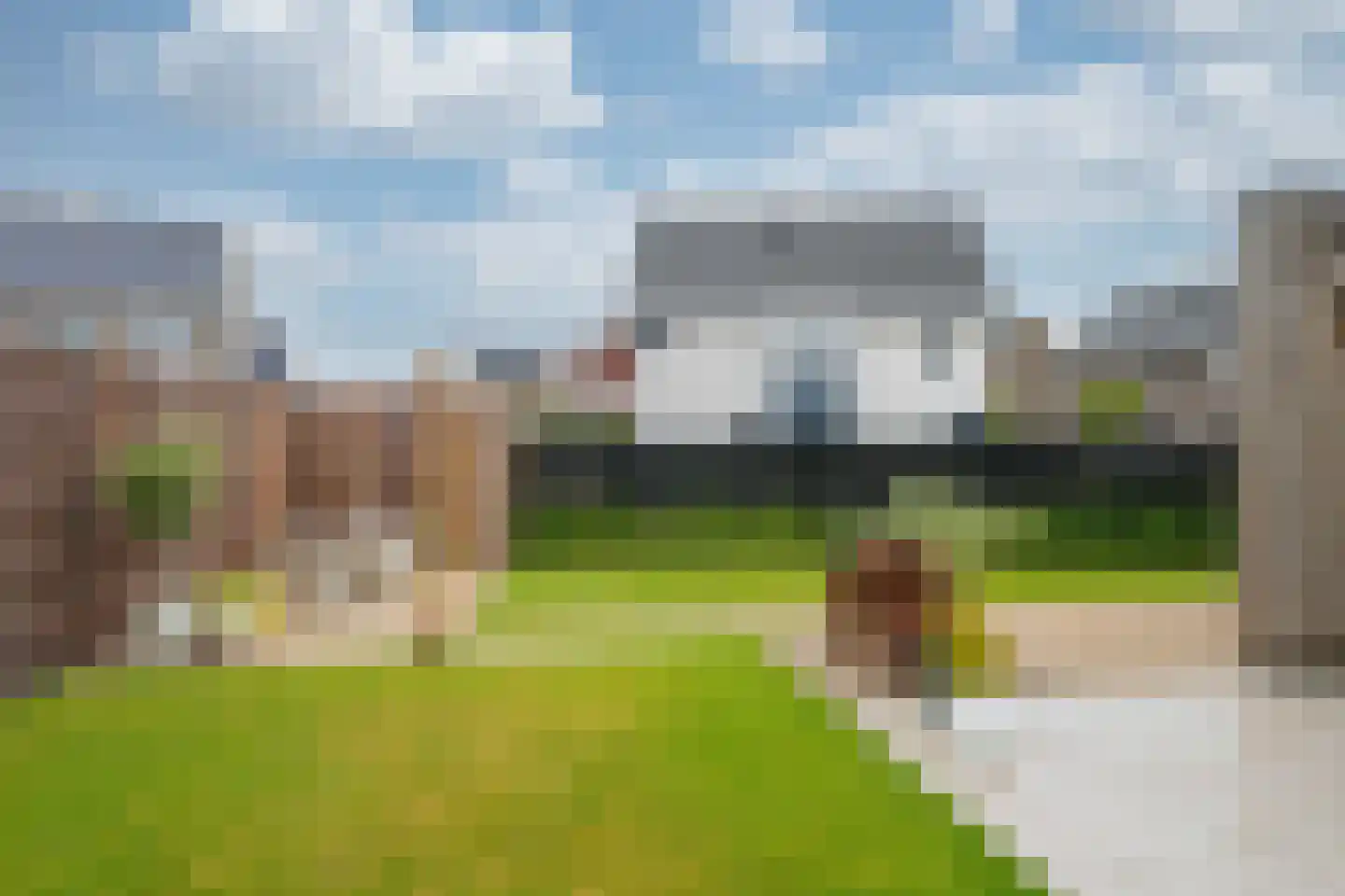 Tureluur 30 Venray thumbnail 65