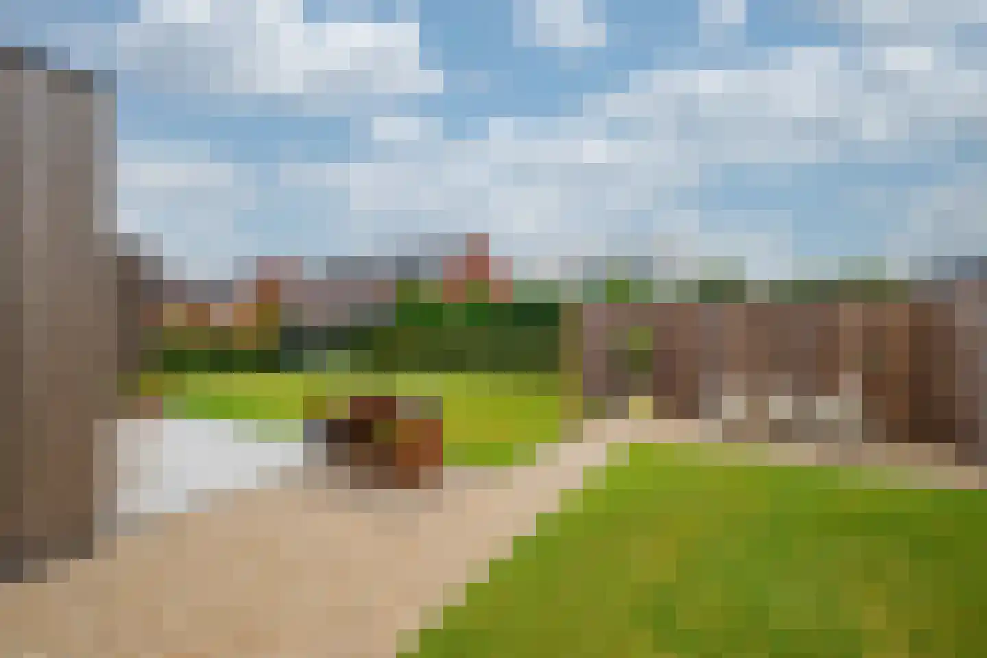 Tureluur 30 Venray thumbnail 67