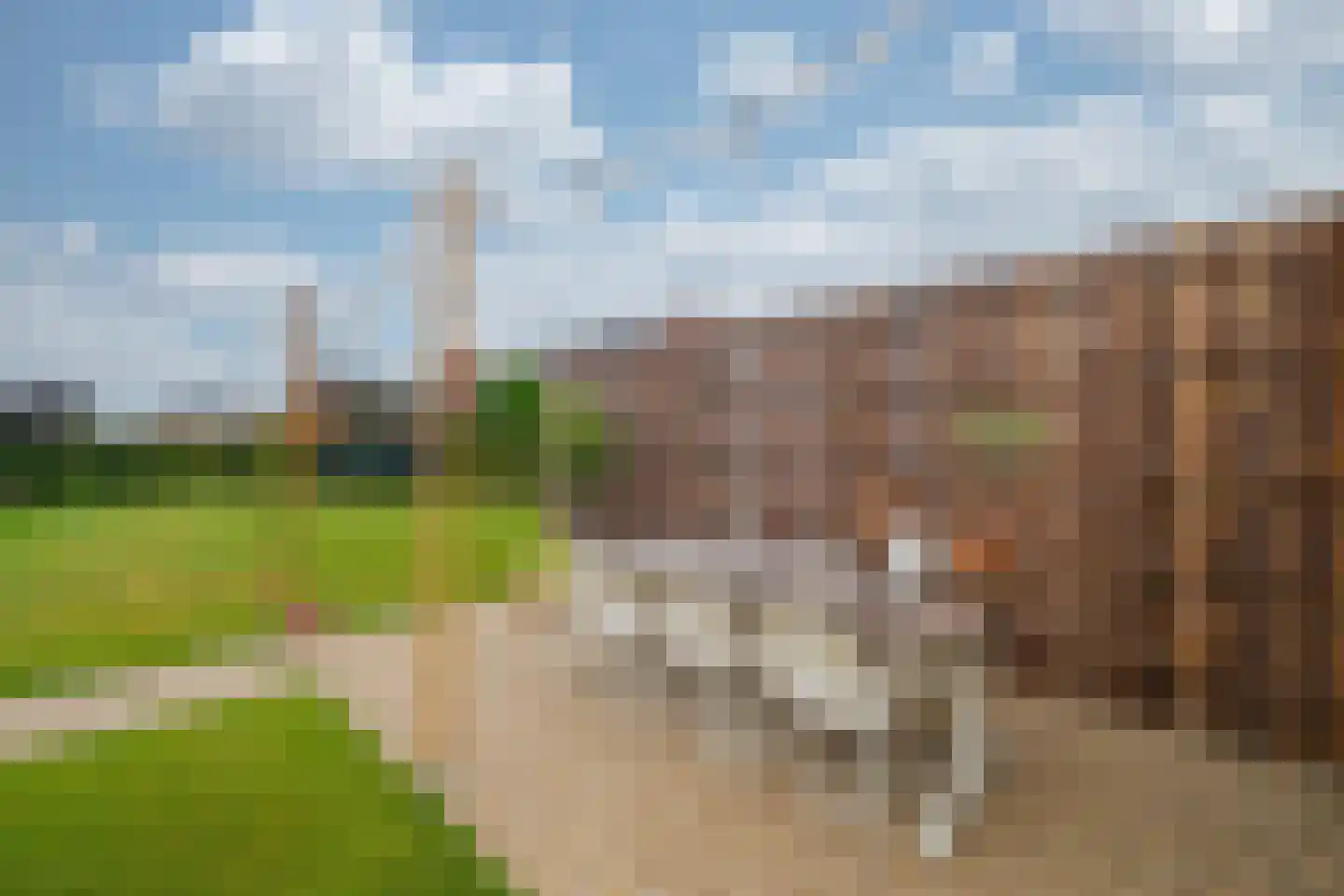 Tureluur 30 Venray thumbnail 68