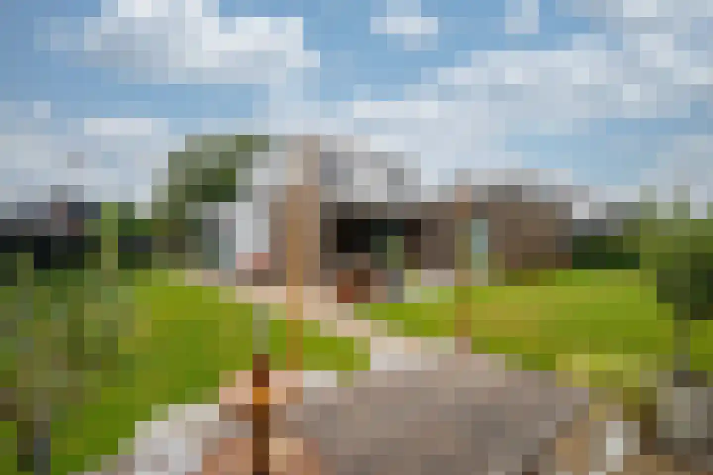 Tureluur 30 Venray thumbnail 69
