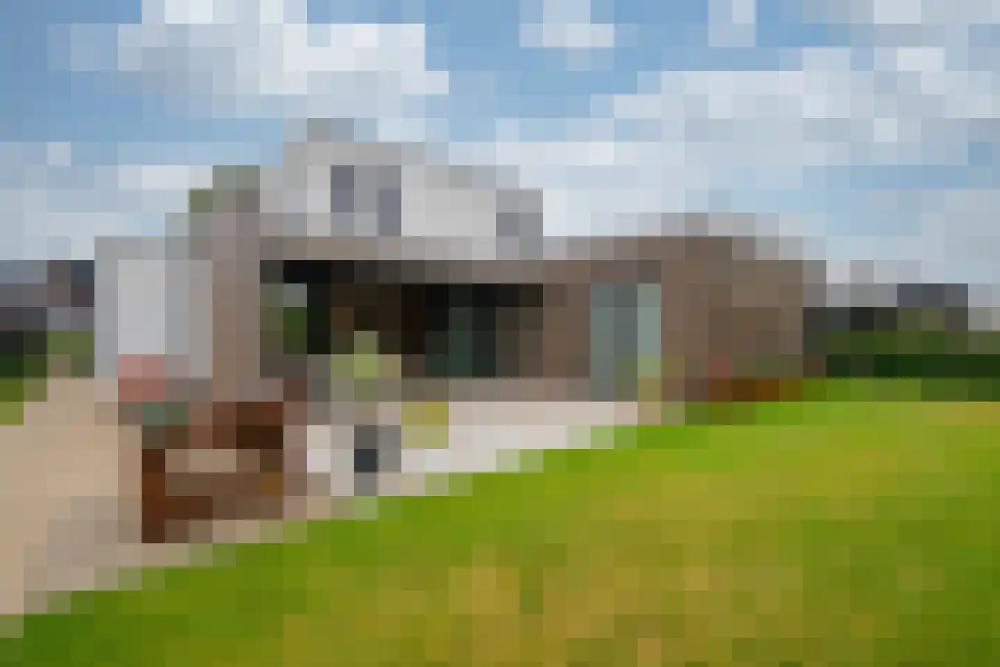 Tureluur 30 Venray thumbnail 70