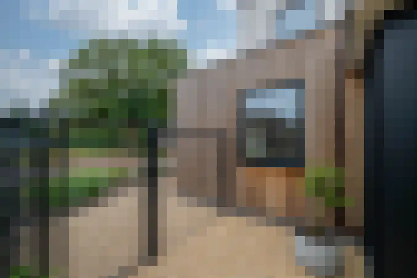 Tureluur 30 Venray thumbnail 76