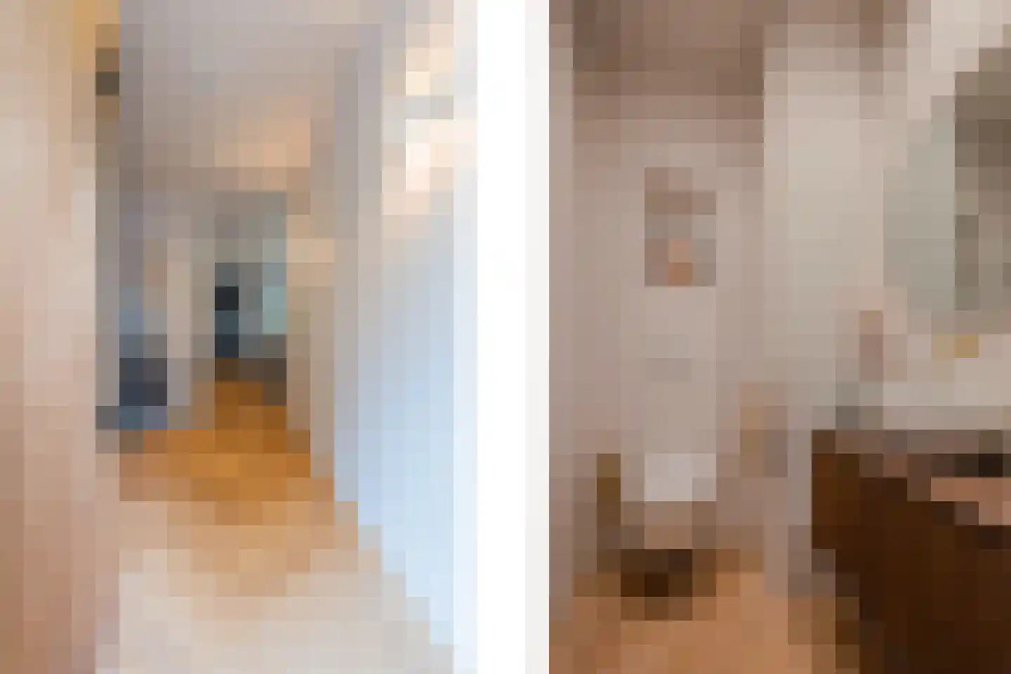 Tureluur 30 Venray thumbnail 8