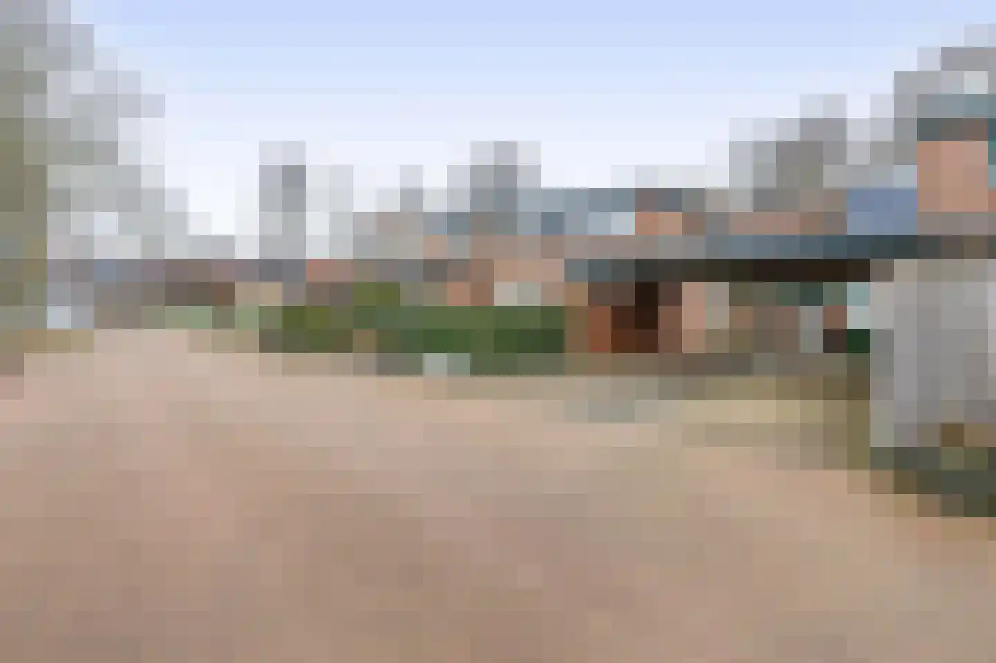 Tureluur 32 Hoogvliet Rotterdam thumbnail 10