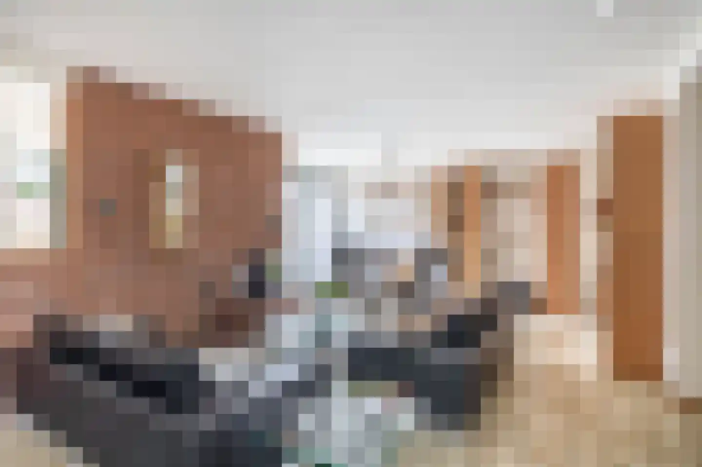 Tureluur 32 Hoogvliet Rotterdam thumbnail 16