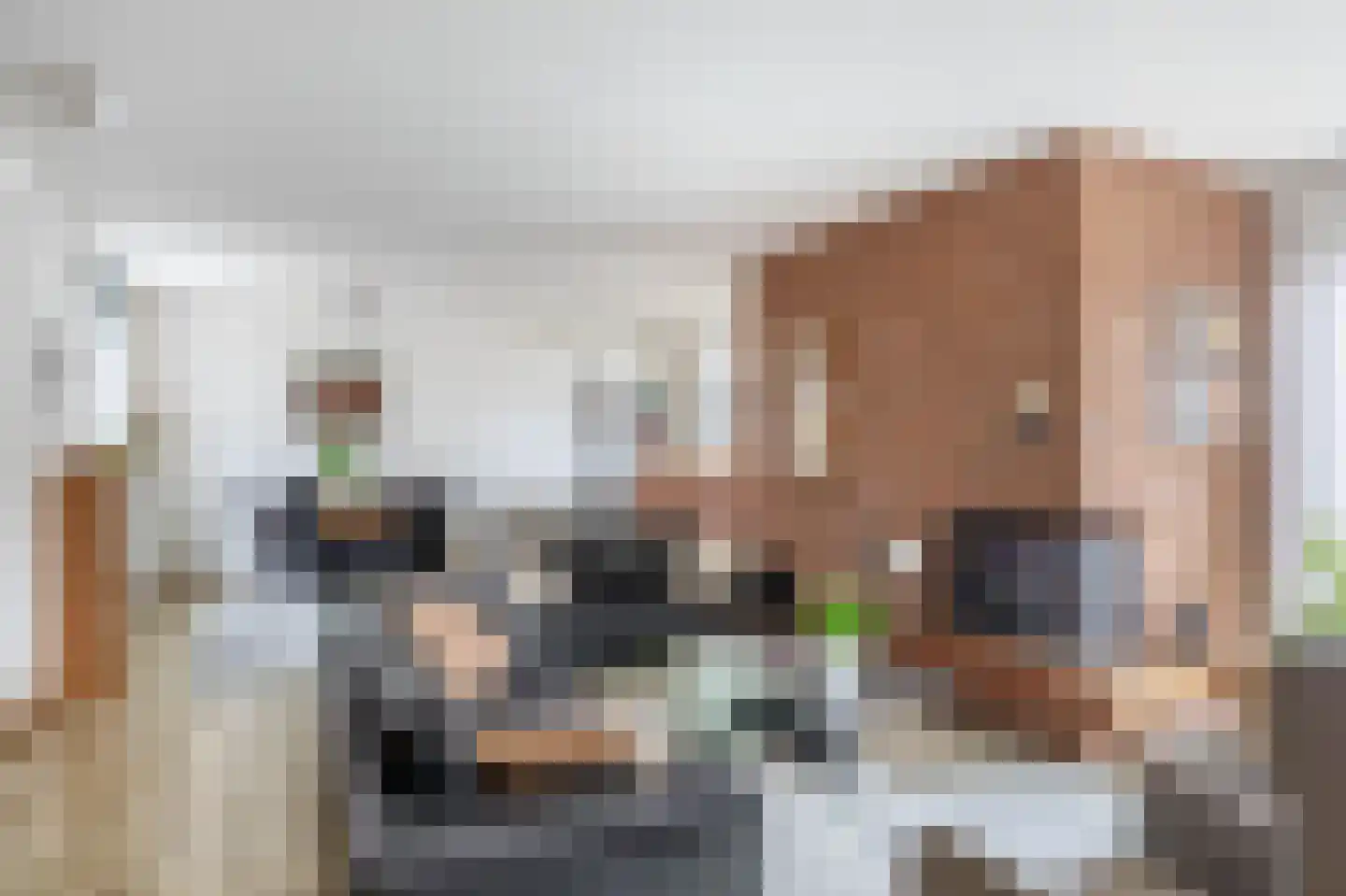 Tureluur 32 Hoogvliet Rotterdam thumbnail 17