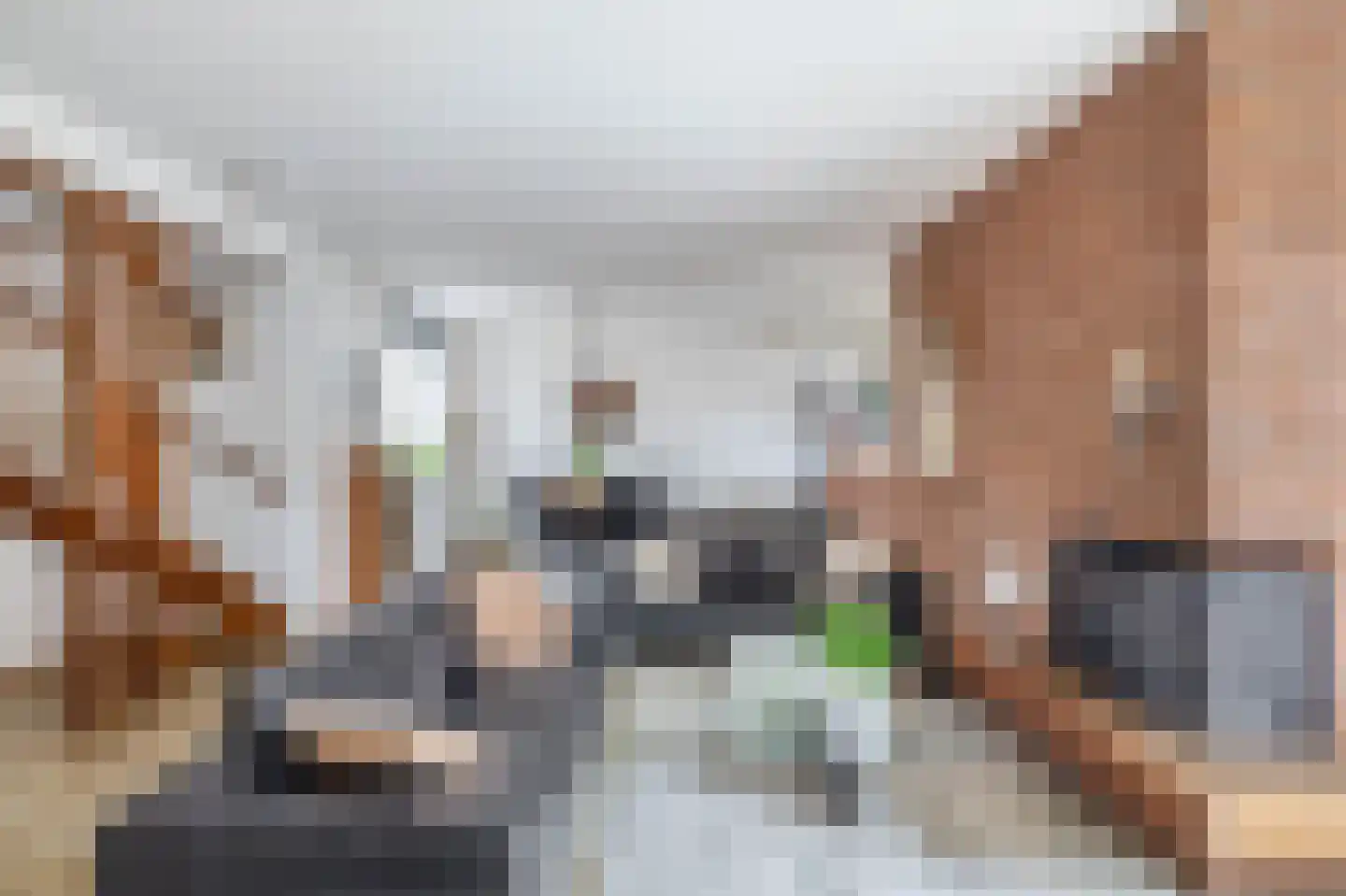 Tureluur 32 Hoogvliet Rotterdam thumbnail 18