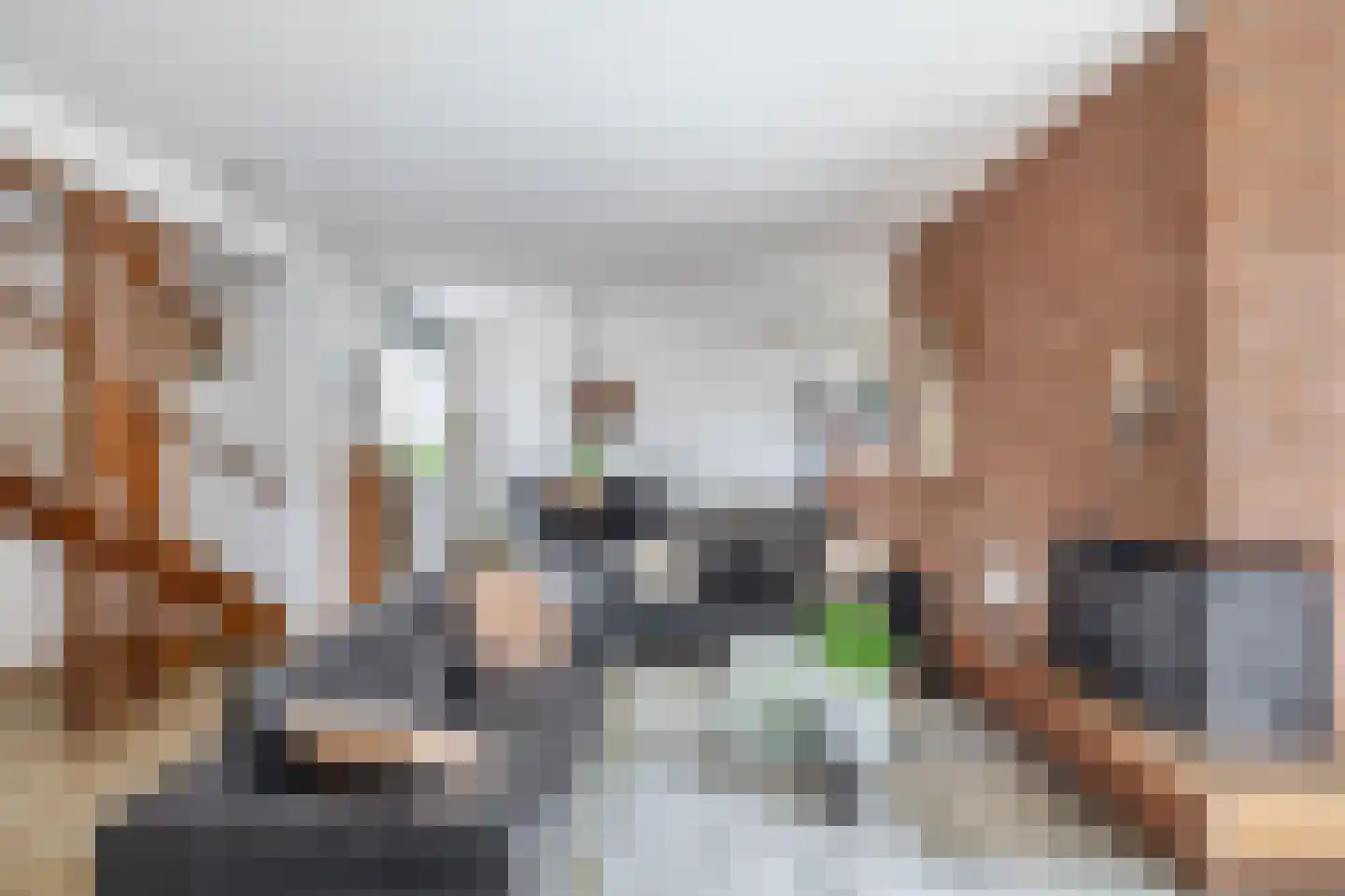 Tureluur 32 Hoogvliet Rotterdam thumbnail 18