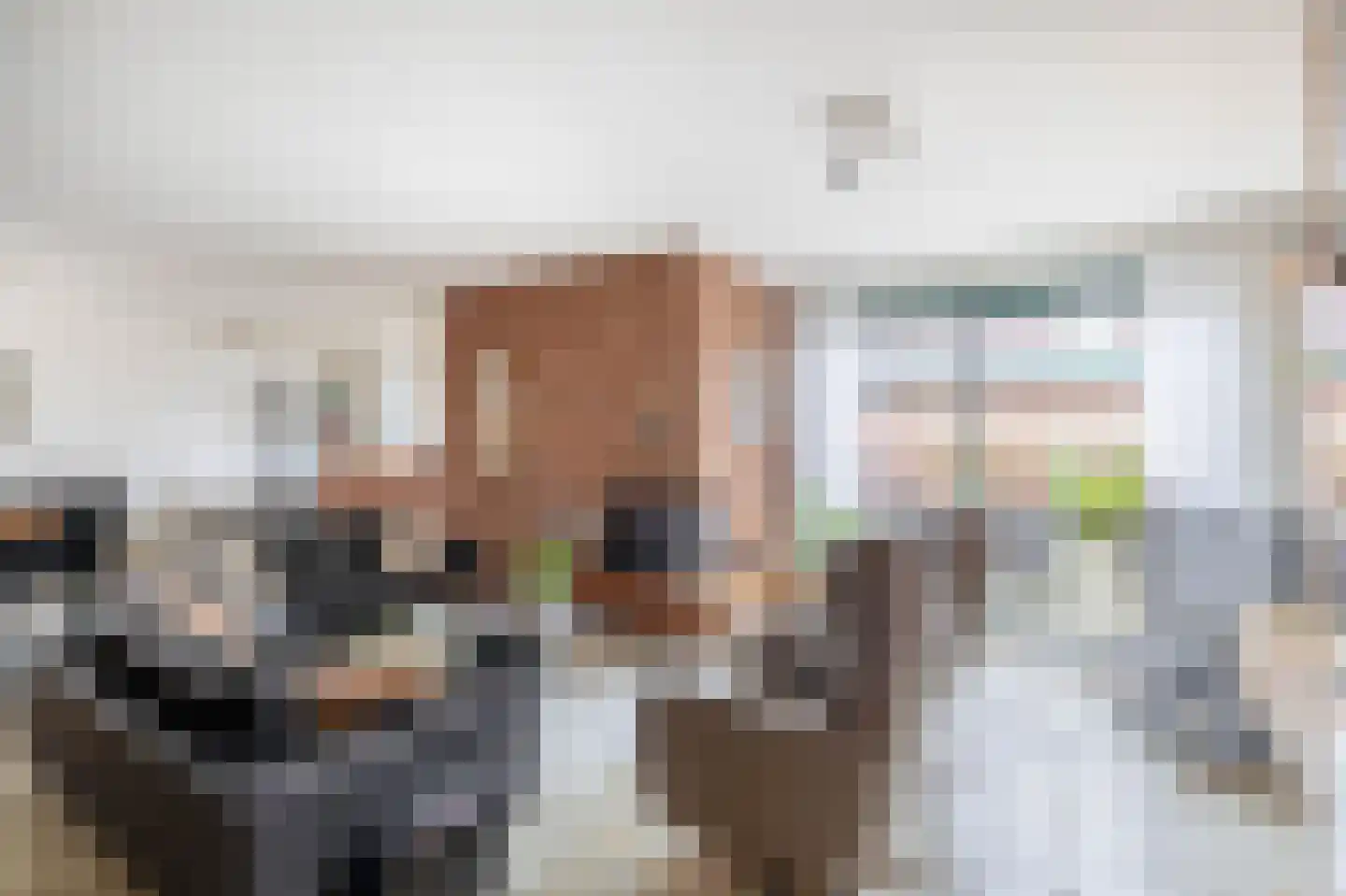 Tureluur 32 Hoogvliet Rotterdam thumbnail 19
