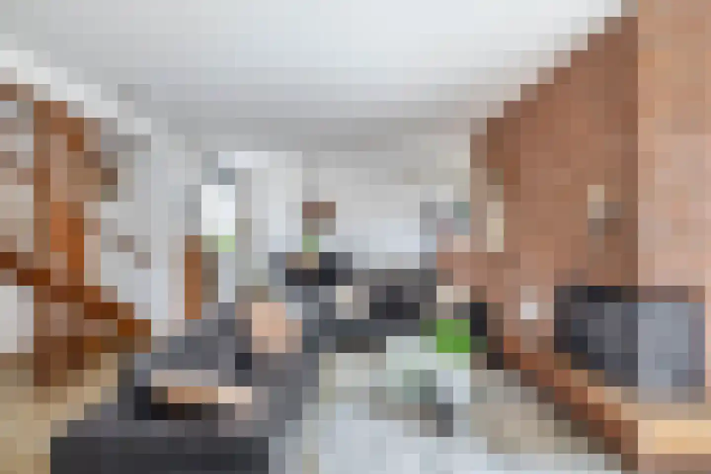 Tureluur 32 Hoogvliet Rotterdam thumbnail 20