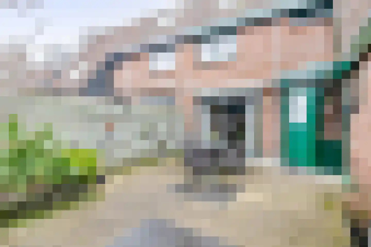 Tureluur 32 Hoogvliet Rotterdam thumbnail 28