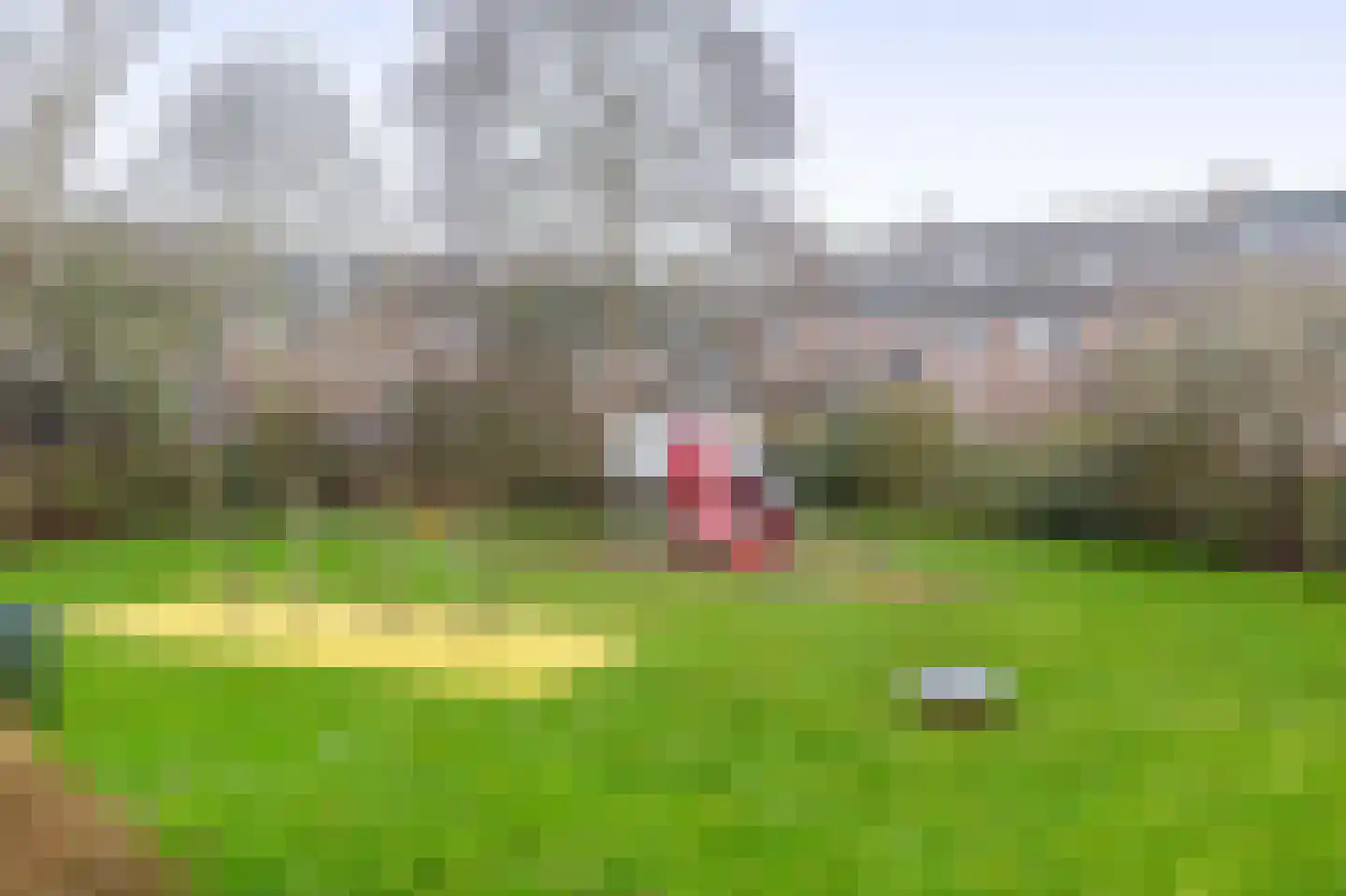 Tureluur 32 Hoogvliet Rotterdam thumbnail 43