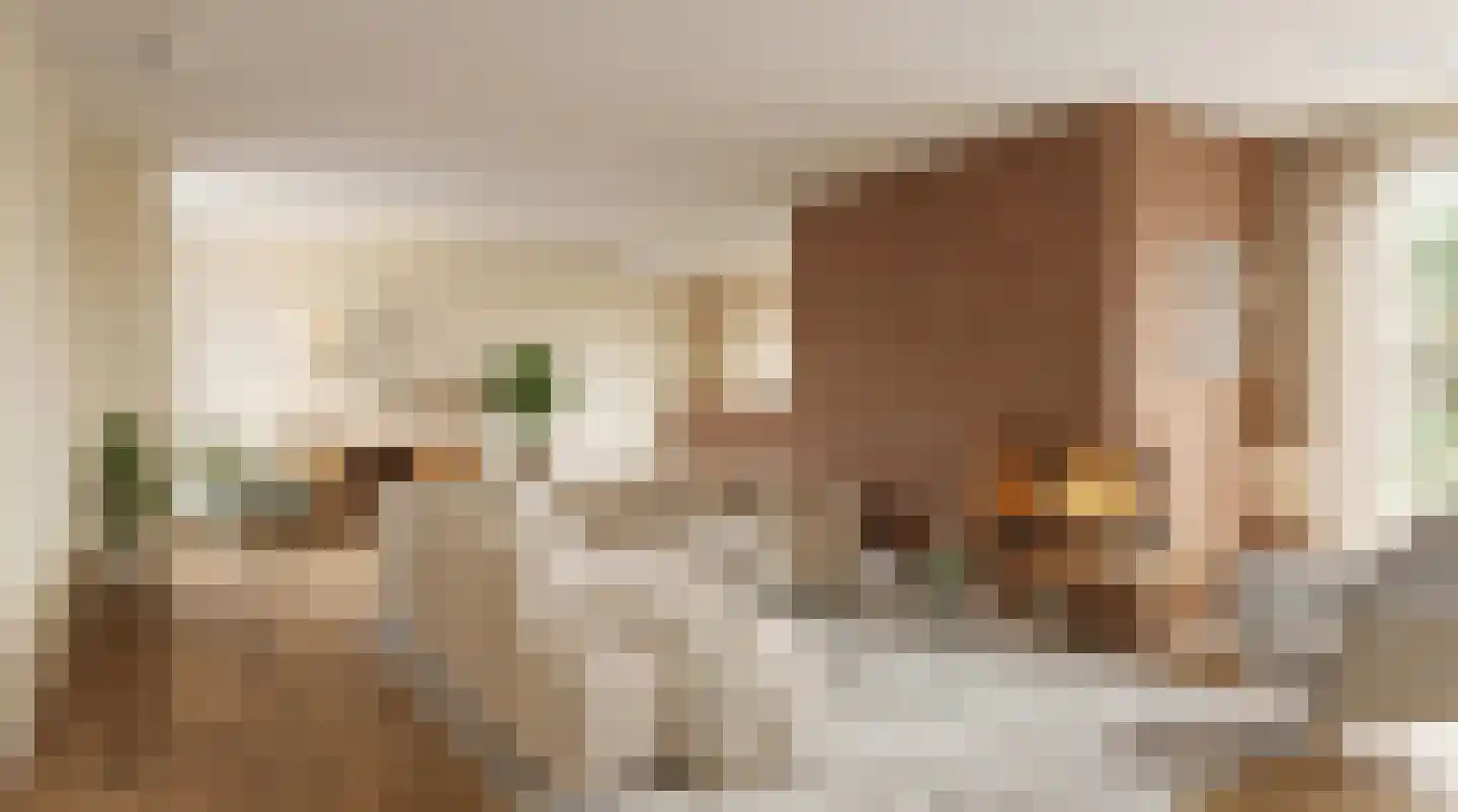 Tureluur 32 Hoogvliet Rotterdam thumbnail 5