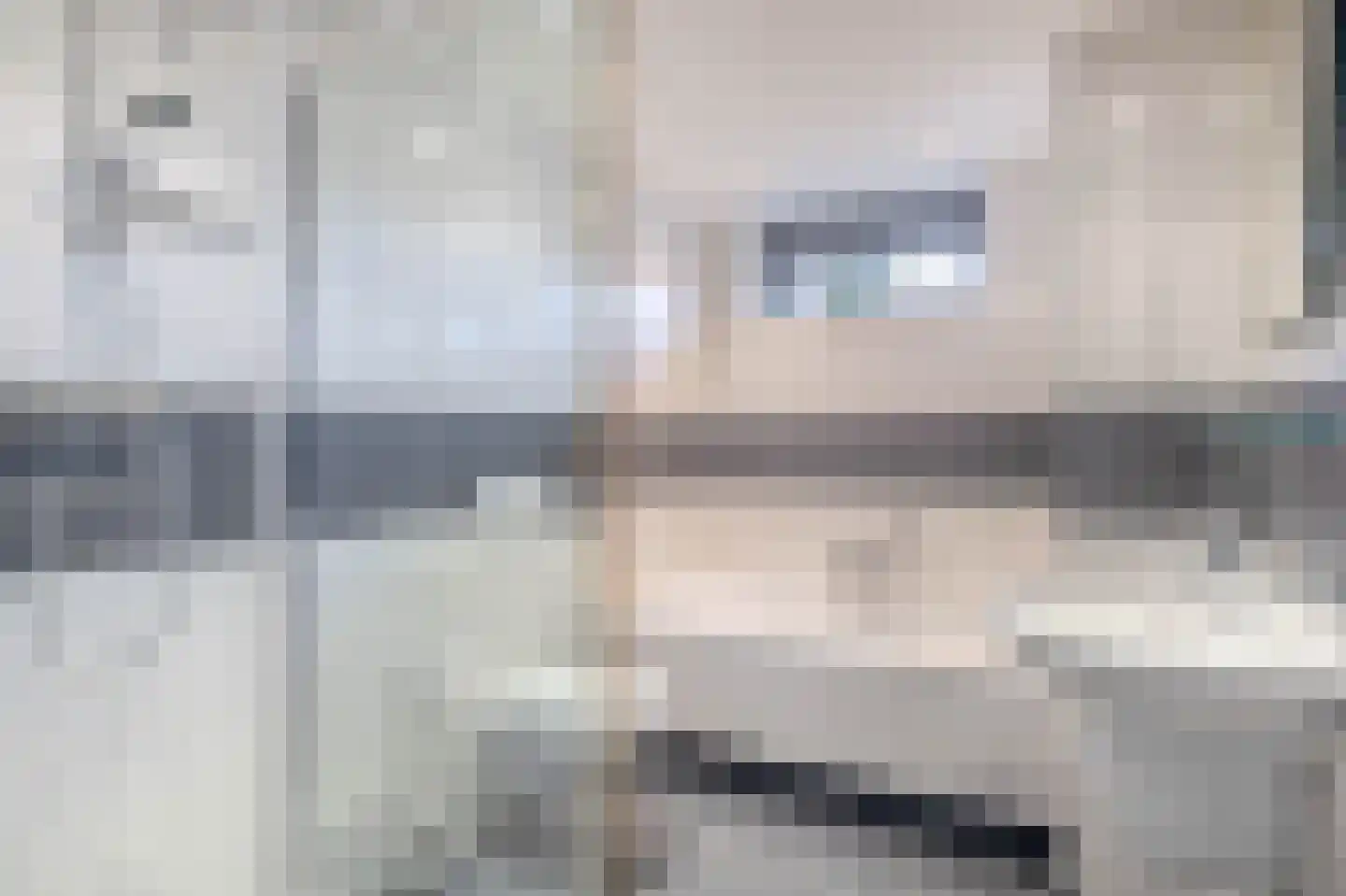 Tureluur 32 Hoogvliet Rotterdam thumbnail 8