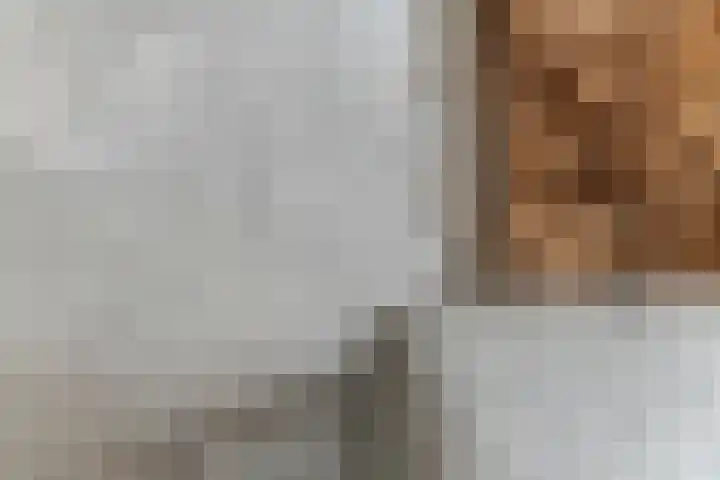 Tureluur 33 Maurik thumbnail 13