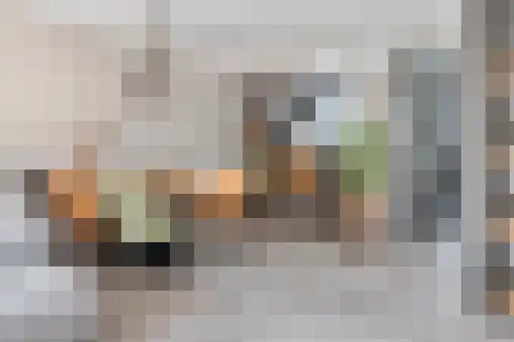 Tureluur 33 Maurik thumbnail 14