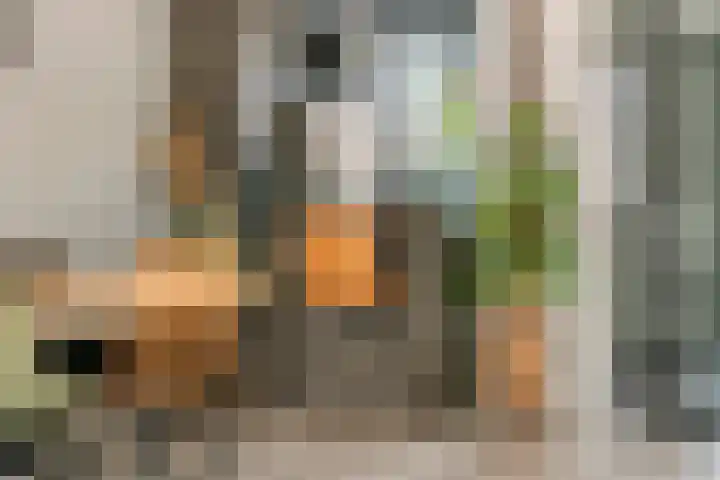 Tureluur 33 Maurik thumbnail 15